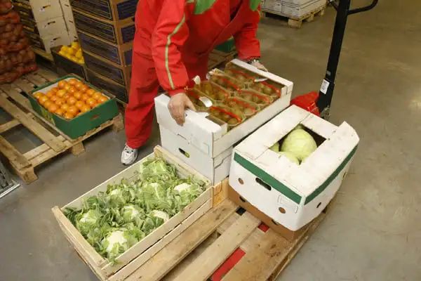 Вакансія працівника на склад продуктів у Німеччині